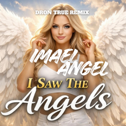 Обкладинка I Saw The Angels (DRoN TRuE Remix)
