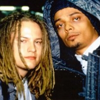 Біографія Bomfunk Mc`s