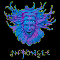Біографія Shpongle