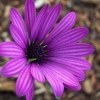 User_15292