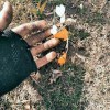 User_16003