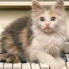 User_16140