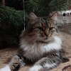 User_16212