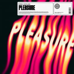Обкладинка HAWK - Pleasure (feat. Azooland)