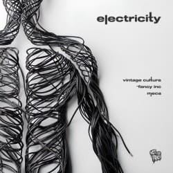 Обкладинка Vintage Culture, Fancy Inc, Meca - Electricity