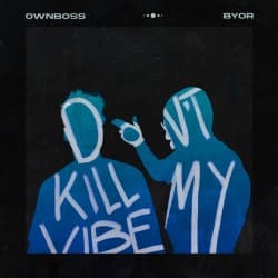 Обкладинка Ownboss - Don't Kill My Vibe (feat. BYOR)