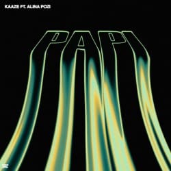 Обкладинка KAAZE feat. Alina Pozi - Papi