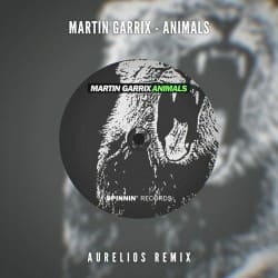 Обкладинка Martin Garrix - Animals (Aurelios Remix)