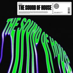 Обкладинка HÄWK, Azooland - The Sound Of House (Extended Mix)