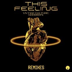 Обкладинка Vintage Culture feat. Goodboys - This Feeling (Velvet Mode And Chris Arna Remix)