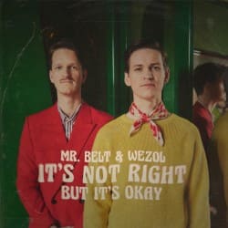 Обкладинка Mr. Belt & Wezol - It's Not Right (But It's Ok)