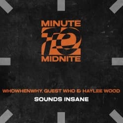 Обкладинка WHOWHENWHY, Guest Who & Haylee Wood - Sounds Insane (Extended Mix)