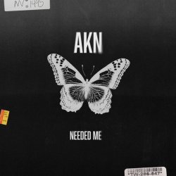 Обкладинка AKN - Needed Me