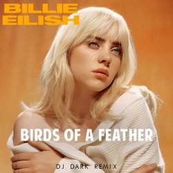 Обкладинка Billie Eilish - Birds Of A Feather