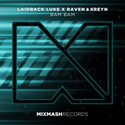 Обкладинка Laidback Luke feat. Raven & Kreyn - Bam Bam