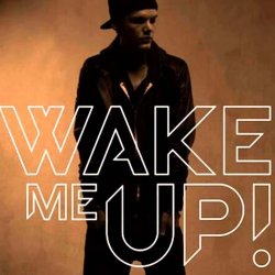 Обкладинка Avicii feat. Aloe Blacc - Wake Me Up