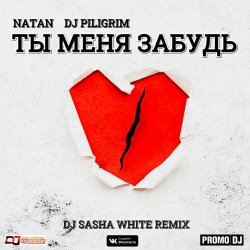 Обкладинка Natan & DJ Piligrim - Ты Меня Забудь