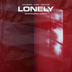 Обкладинка Tujamo feat. VIZE & Majan - Lonely (Besomorph Remix)