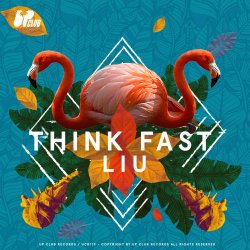 Обкладинка Liu - Think Fast
