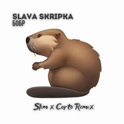 Обкладинка Slava Skripka - Бобр (Slim x Corto Remix)