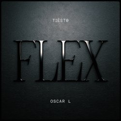 Обкладинка Tiesto & Oscar L - Flex