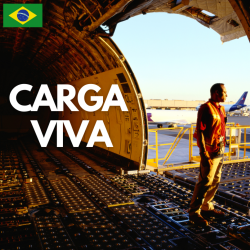 Обкладинка Carga Viva - Maquillaje