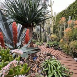 Обкладинка Echo Gardens - Den nich