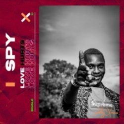 Обкладинка S.P.Y - Love Hurts
