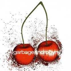 Обкладинка Garbage - Androgyny