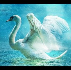 Обкладинка Lacross - Save Me (Swan Lake)