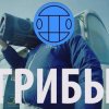 Cover Грибы - Тает Лёд Грибы - Тает Лёд