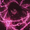 Cover DJ Anemia & Crier & Sixnite - This Feeling (Slowed) DJ Anemia & Crier & Sixnite - This Feeling (Slowed)