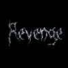 Обкладинка The Revenge - Every Night The Revenge - Every Night