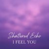 Обкладинка Shattered Echo - I Feel You Shattered Echo - I Feel You