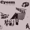 Обкладинка Cyesm - Our Leaders Cyesm - Our Leaders