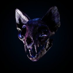 Обкладинка Darci - Wild Horse