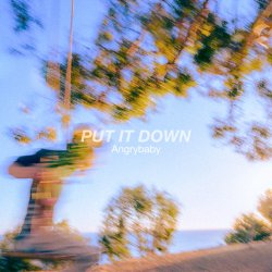 Обкладинка Angrybaby - PUT IT DOWN
