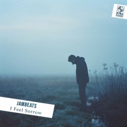 Обкладинка JamBeats - I Feel Sorrow