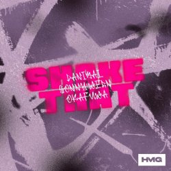 Обкладинка Danimal & Sonny Wern - Shake That