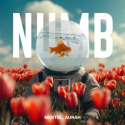 Обкладинка Linkin Park - Numb (Mentol Remix) Aurah Cover