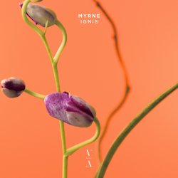 Обкладинка MYRNE - Time (Something To You)