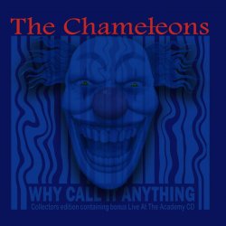 Обкладинка The Chameleons - Indiana