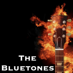Обкладинка The Bluetones - String Along