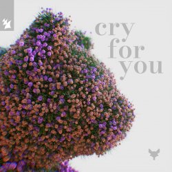 Обкладинка Cat Dealers & Tineway & Dani Doucette - Cry for You