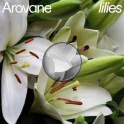 Обкладинка Arovane - Pink Lilies