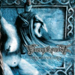 Обкладинка Fintroll - Trollhammaren