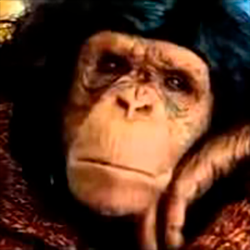 Обкладинка Алексин - Ну Что Ж Ты Страшная Такая