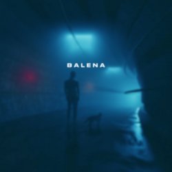 Обкладинка skyfall beats - balena