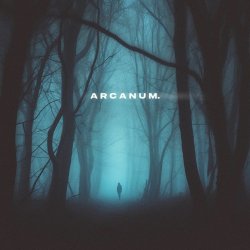Обкладинка skyfall beats, silent anthem - arcanum