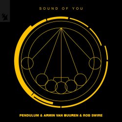 Обкладинка Pendulum & Armin van Buuren & Rob Swire - Sound of You